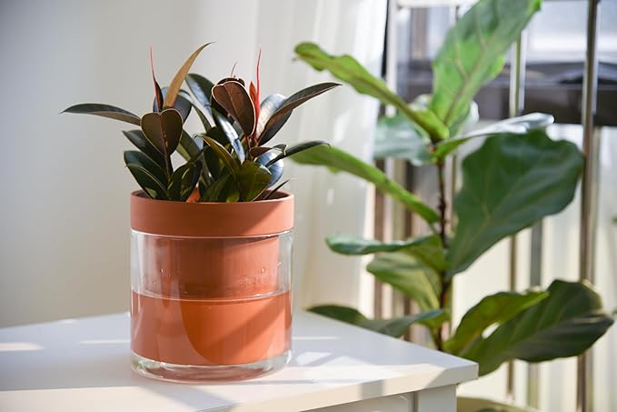 Phoenix Vine 6 Inch Self Watering Planter Pot, Terracotta Clay Pot - Image 5
