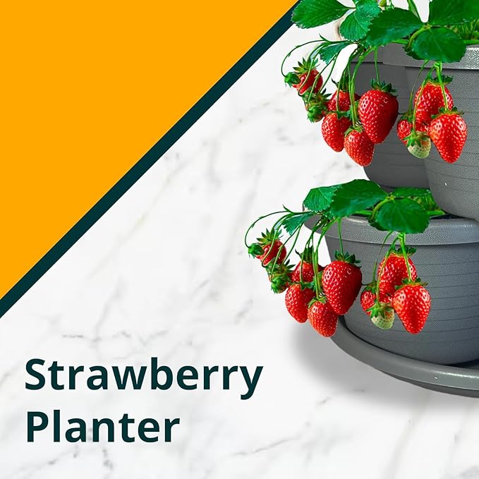 SunVara Strawberry Planter Vertical Gardening Stackable Planter Strawberry - Image 7