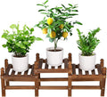 Wood Flower Stand Small Plant Stand Indoor Outdoor Plant Shelf Low Window Shelf by TOVACU