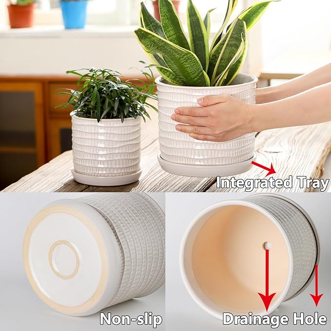 5.8 Inch Plant Pot: Ceramic Planter - Image 4