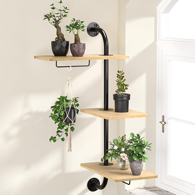 DELLAN Window Plant Shelves, Rotating Plant Shelf by DELLAN