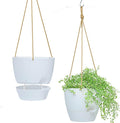 8 inch Hanging Planters, 2 Pack Self Watering Hanging Pots by SwinDuck