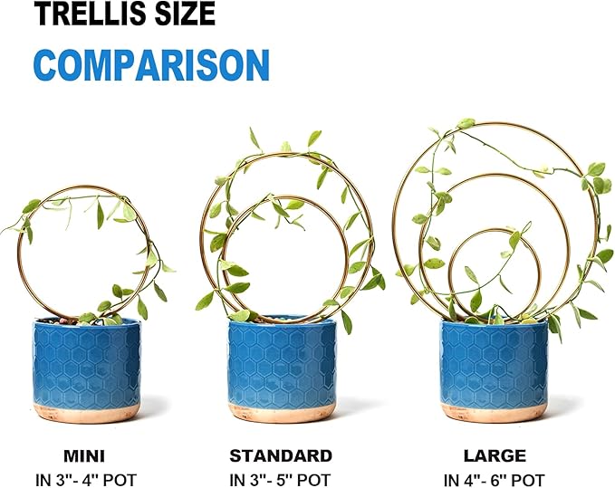 Mirthdino Hoya Trellis- Metal Plant Trellis Indoor 3-Pack - Image 3