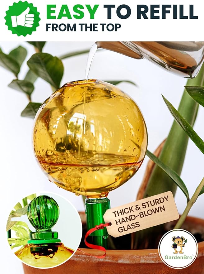 16 Oz Plant Watering Globes for Indoor Plants - Image 3