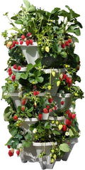 Mr. Stacky 5 Tiered Vertical Gardening Planter, Indoor & Outdoor by Mr.+Stacky