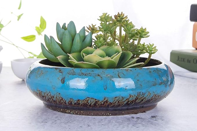VanEnjoy 7.3 inch Round Large Shallow Succulent Ceramic Glazed Planter Pots - Image 3