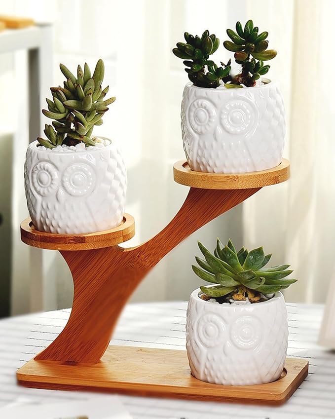 FLOWERPLUS Planter Pots Indoor, 3 Pack 3 Inch White Ceramic Decorative Small - Image 7