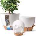 T4U 3 Pack Self Watering Pots by T4U