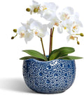 Orchid Pot - 6 Inch Ceramic Plant Pot by Thirtypot