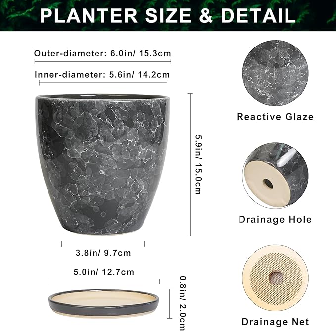 Ceramic Pots for Plants - Image 2