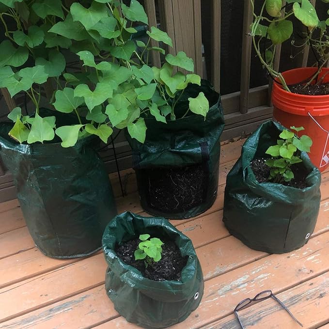 JJGoo Potato Grow Bags, 4 Pack 10 Gallon - Image 9