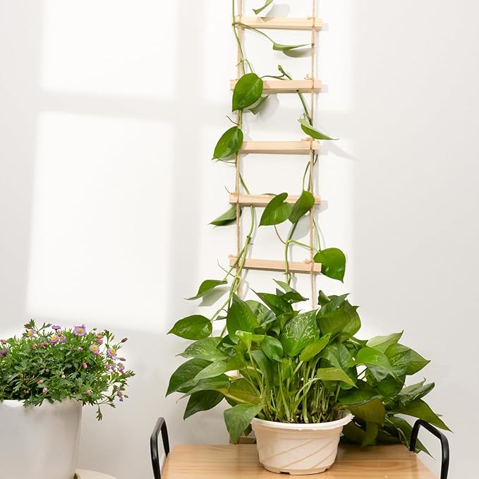 Sturdy Climbing Plants Trellis - Image 4