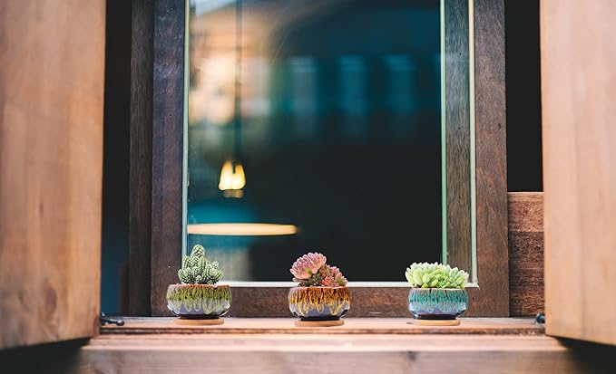 Cute Ceramic Succulent Garden Pots, Planter - Image 2