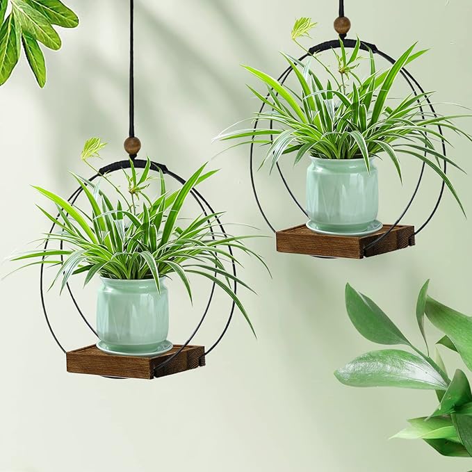 2 Pack Hanging Planter for Indoor Plants, Modern Boho Macrame Hanger, Wall - Image 6
