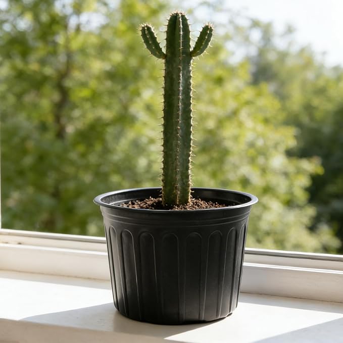 12-Pack 5 Gallon Flexible Plastic Plant Pots, Thickened Soft Seed Starting - Image 6