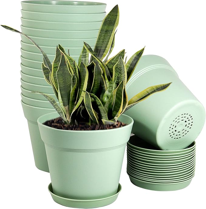 WOUSIWER 16 Pack 6 inch Plastic Planters, Plastic Indoor Planter Flower Pots by WOUSIWER