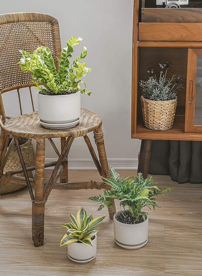 LE TAUCI Ceramic Plant Pots, 4.3+5.3+6.8 inch, Planters - Image 9