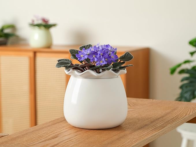 Self Watering Plant Pot, 6 Inch African Violet Pots Maintenance, Ceramic - Image 7