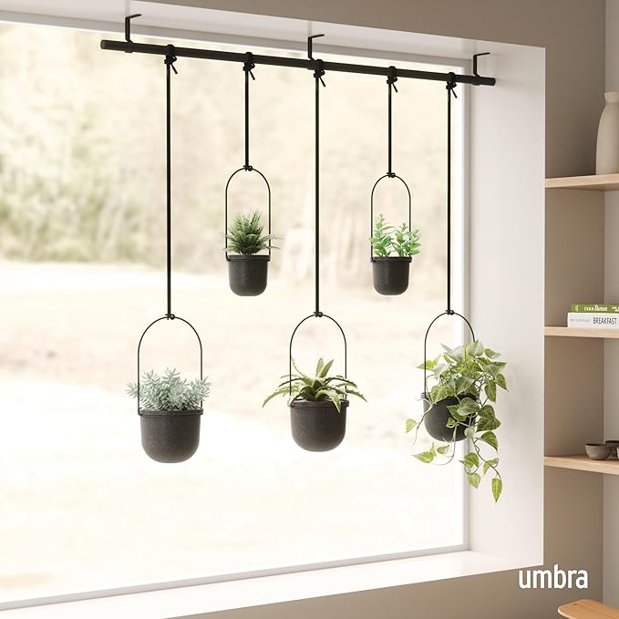 Umbra Triflora Hanging Planter for Window, Indoor Herb Garden - Image 2