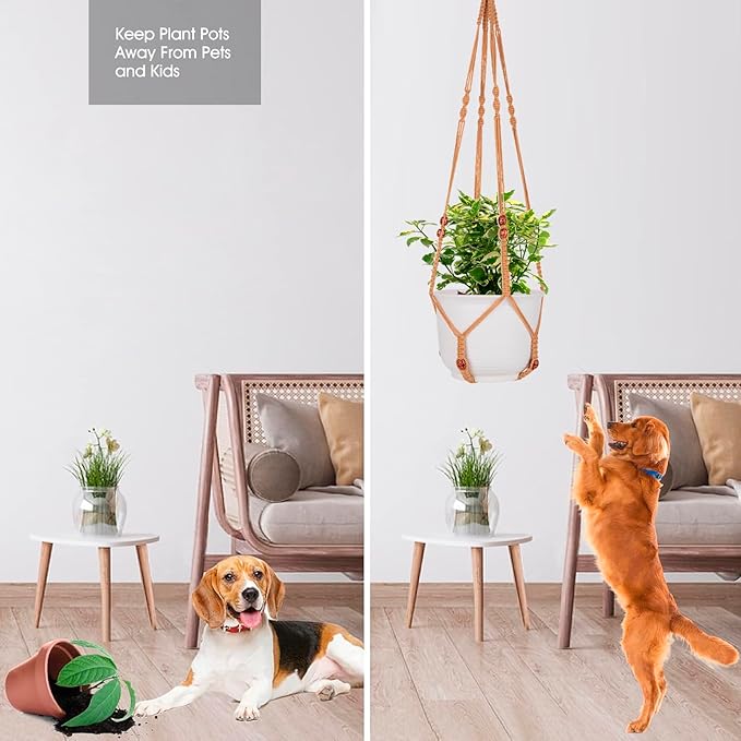 RIFNY Macrame Plant Hanger for 5 to 10 Inch Plant Pots, 35 Inch Woven Rope - Image 8