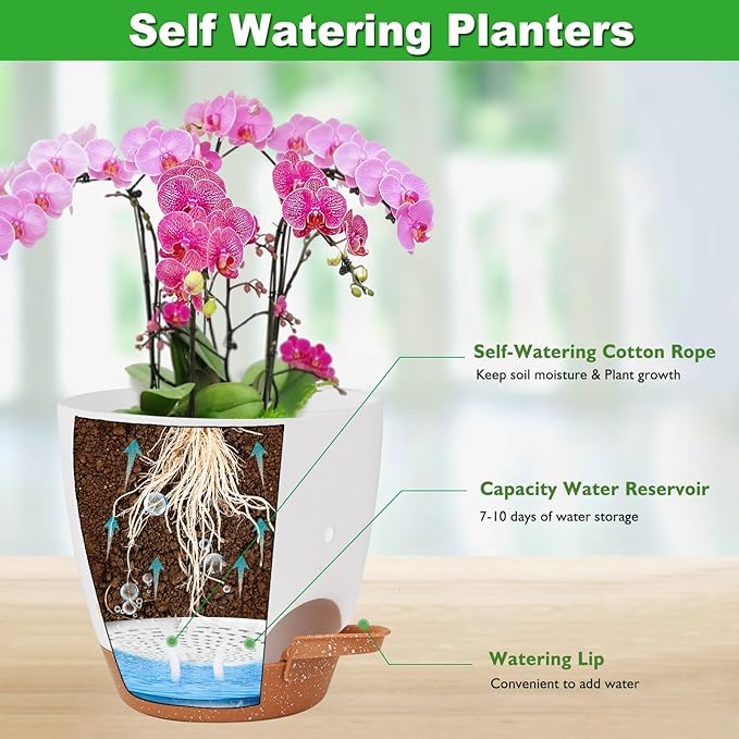 6 Inch Orchid Pots with Holes, 3 Pack Self Watering Planters - Image 3