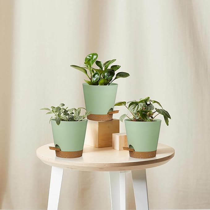 5 Pack 5 inch Self-Watering Pots, African Violets Planter - Image 6