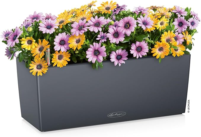 Lechuza BALCONERA Color 50 Slate, Self-Watering Window Box, H7.5 L19.7 W7.5 in - Image 2