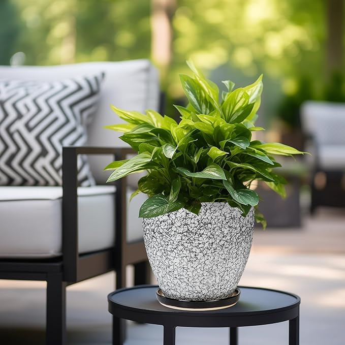 Ceraimc Plant Pot - Image 4
