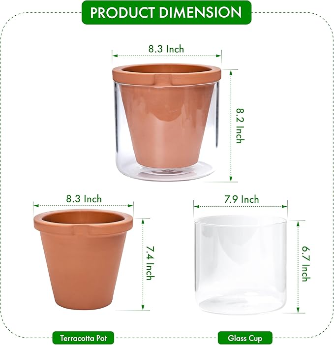 D'vine Dev 8 Inch Design Self Watering Pot - Image 2
