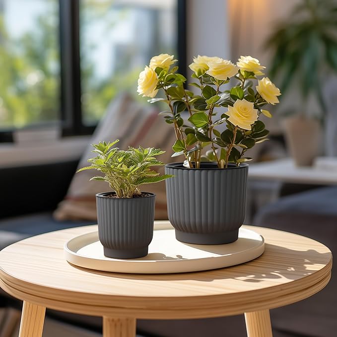 T4U 4 Inch Plant Pots Self Watering, 6 Pack African Violet Pots, Small Plant - Image 8