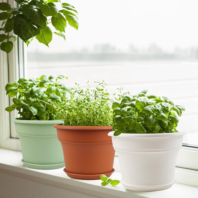 6 Inch Plastic-Flower Pot-for-Indoor Plants, 6 Pack Outdoor Plant Pots - Image 2