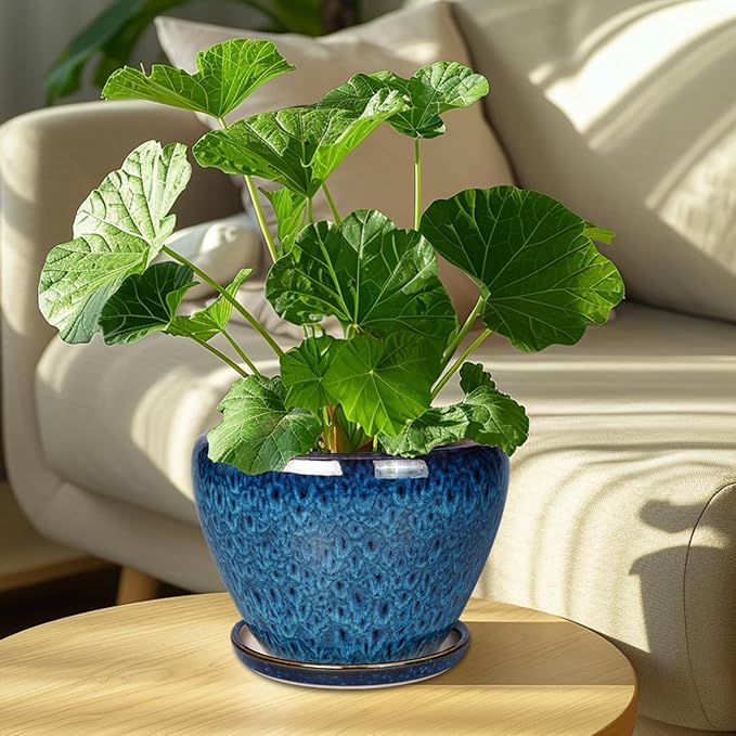 8 Inch Ceramic Plant Pot, Ceramic Planter Pot - Image 3