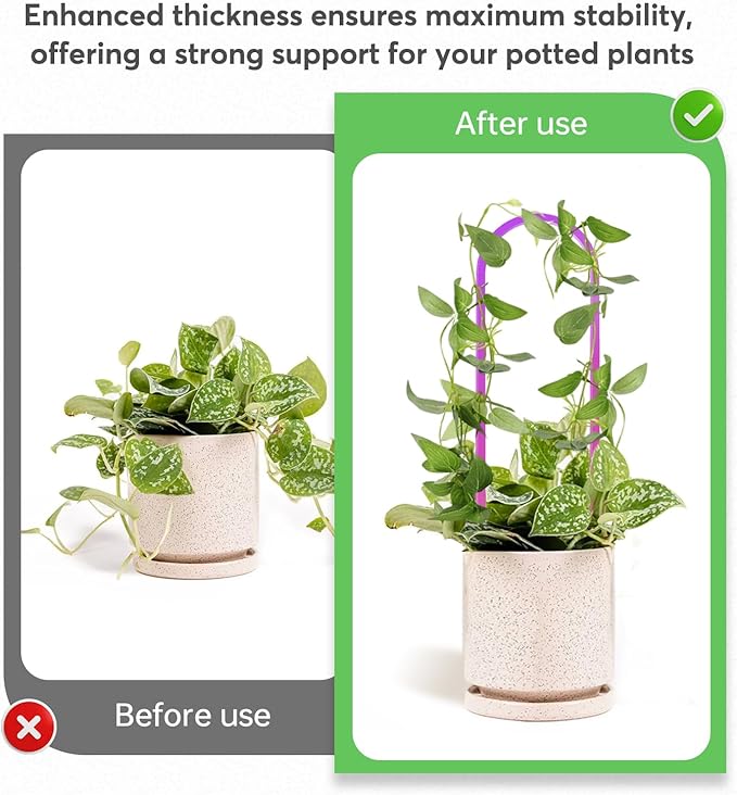 3 Pack Colorful Acrylic Plant Trellis - Image 2