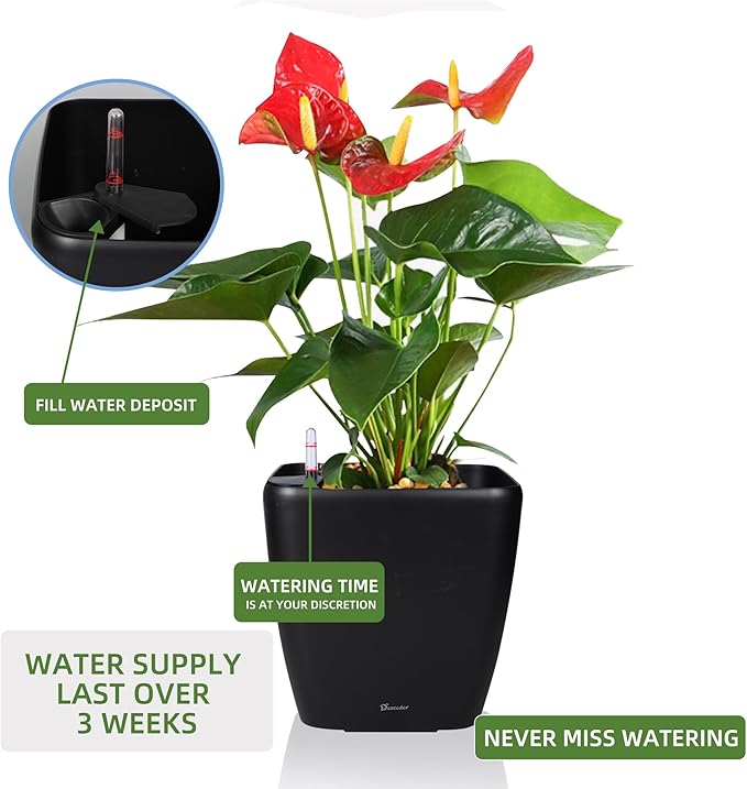 Dexceder 15x14 Self Watering Planter - Image 5