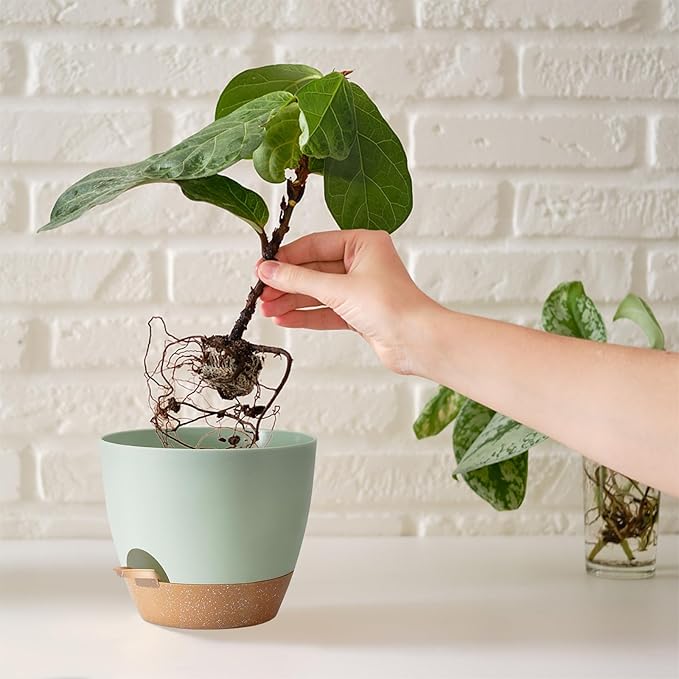 Self Watering Plant Pot with Drainage Hole, Plant Pots Outdoor Flower Pots - Image 6