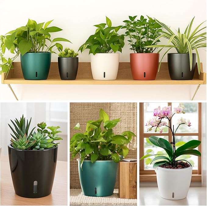 Self Watering Pots for Indoor Plants, Small African Violet Pots - Image 5