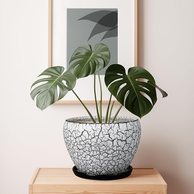 Ceramic Planters for Indoor Plants - Image 4