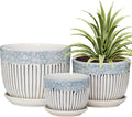 Ton Sin Grey Flower Pots, Texture Planter by TonSin