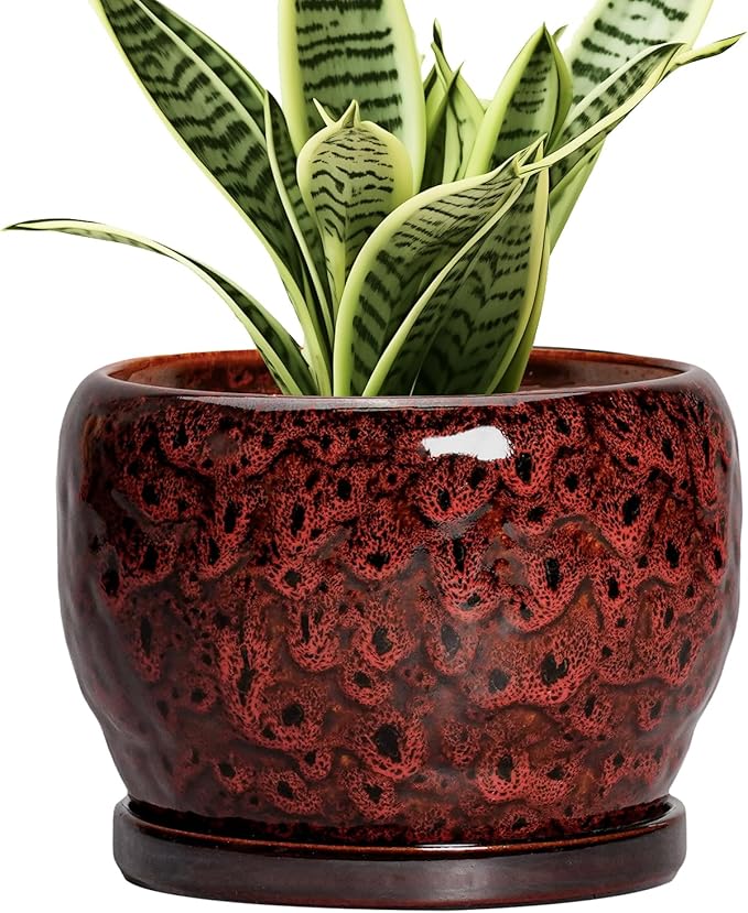SQOWL Ceramic Pot for Plants by SQOWL
