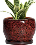 SQOWL Ceramic Pot for Plants by SQOWL