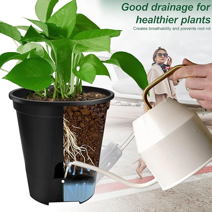 Cdd's Path 5-Pack 6 Inch Naked Root Planter Self Watering Pots Set - Image 3
