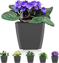 Self Watering Planters for Indoor Plants : 5 inch 6 Pack Grey Planter by GsGardenSpecialty