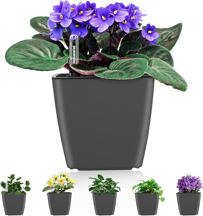 Self Watering Planters for Indoor Plants : 5 inch 6 Pack Grey Planter by GsGardenSpecialty