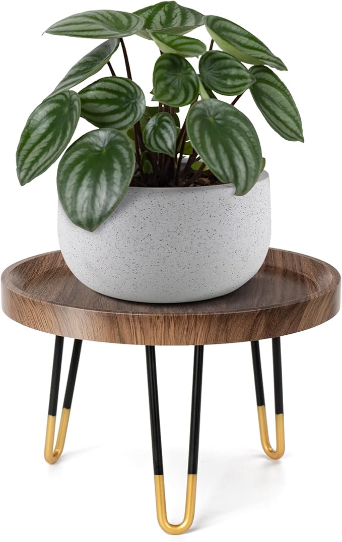 Plant Stand Indoor Outdoor, Mid Century Style Walnut Wood Color Plant Stand - Image 6