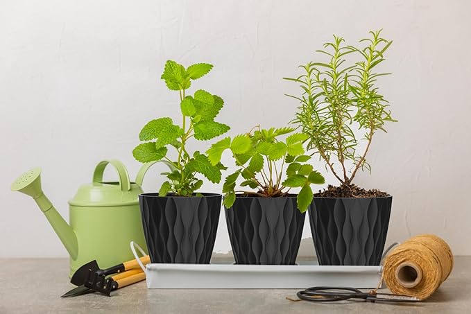 6 Inch Plant Pots, 6 Pack Indoor Flower Pots, Planters - Image 5