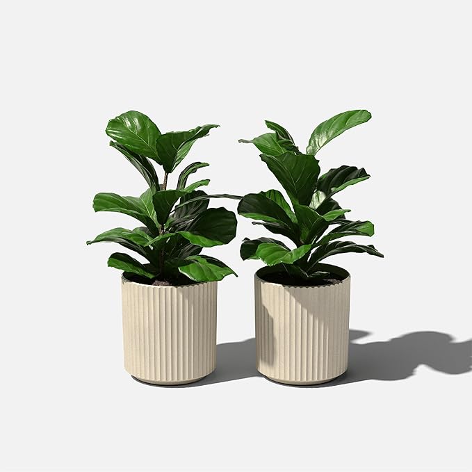 Veradek Demi Series Round Planter - Image 9