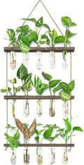 XXXFLOWER Wall Hanging Propagation Station by XXXFLOWER