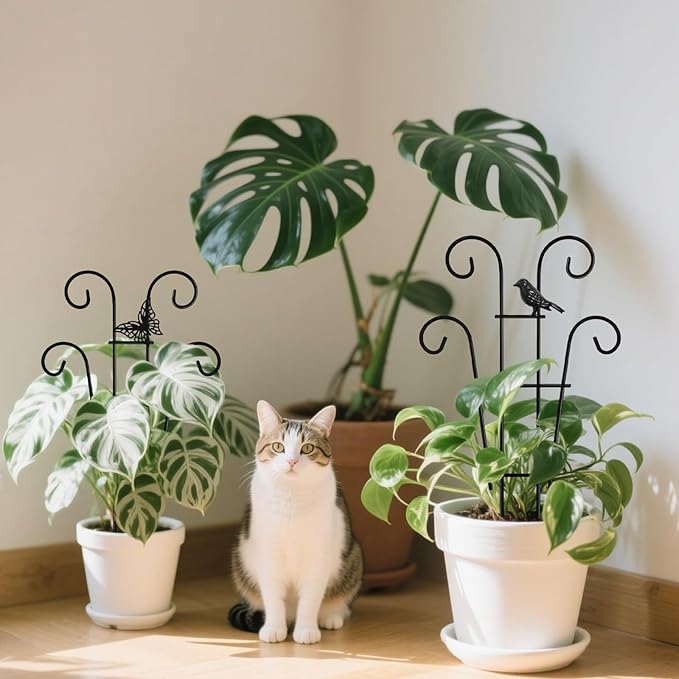 Coomin 14.5 Bird Indoor Plant Trellis - Image 7