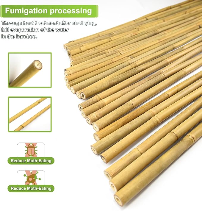 15pcs 3/4" D Thicker Heavy Duty Bamboo Stakes, 7FT Plant Stakes, Natural Garden - Image 3