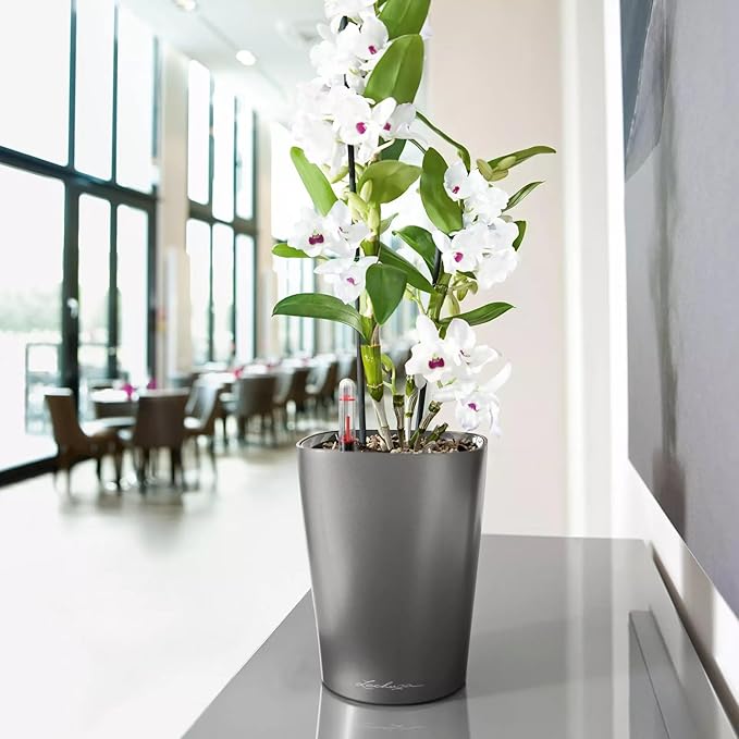 Lechuza 14903 Deltini Self-Watering Planter - Image 8